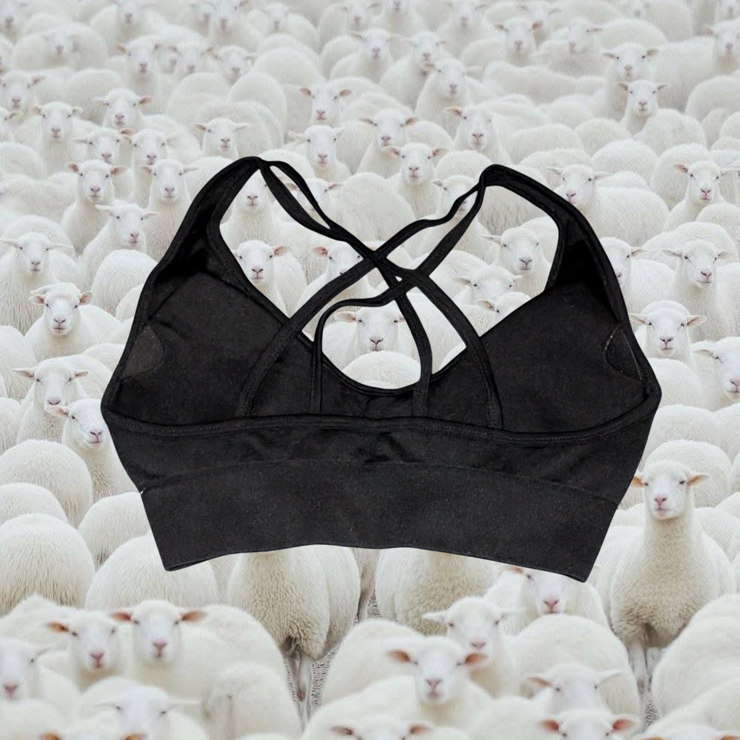 Women's Sports Bra