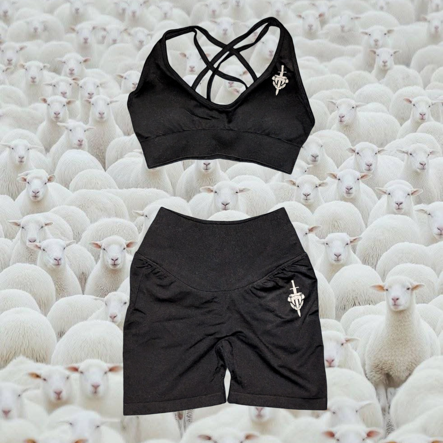 Sport's Bra & Active Shorts Bundle