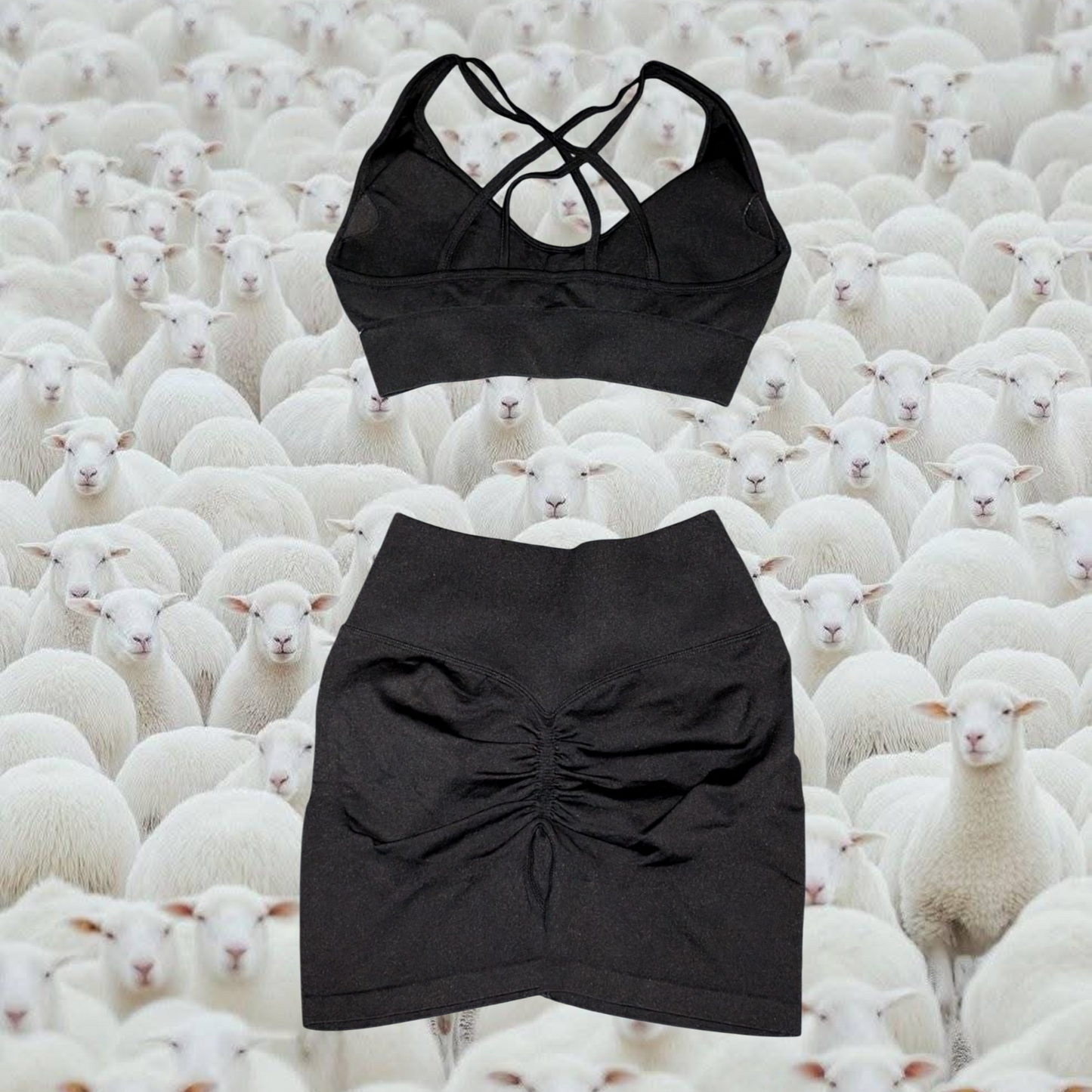 Sport's Bra & Active Shorts Bundle